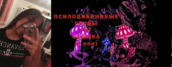 прущие грибы Армянск