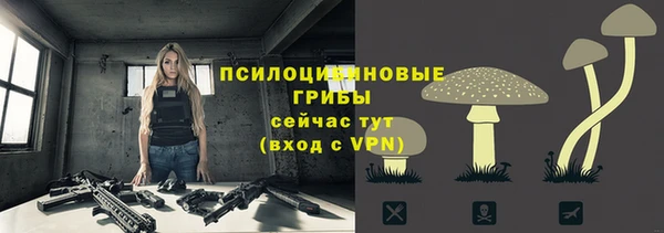 прущие грибы Армянск