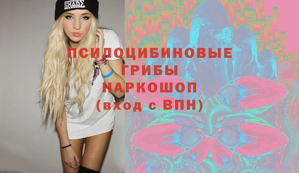 прущие грибы Армянск