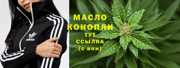прущие грибы Армянск