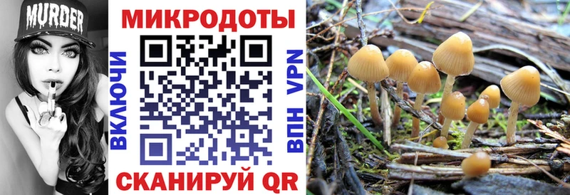 omg как войти Спасск дарк нет Telegram Галлюциногенные грибы Psilocybine cubensis